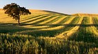 Alentejo
