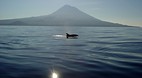 Azores