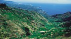 Madeira