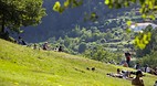 Paredes de Coura