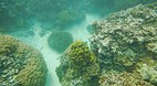 Namua and Fanuatapa ..