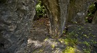 Saleaula Lava Fields