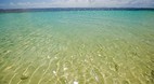 Tanu Beach Fales
