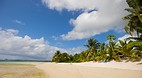 Tanu Beach Fales