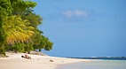 Tanu Beach Fales