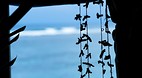Upolu Island