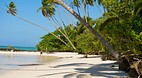 Virgin Cove