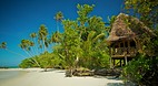 Virgin Cove