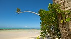 Virgin Cove
