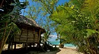 Virgin Cove