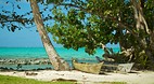 Virgin Cove