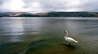 Loch Lomond