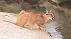 Augrabies National P..