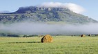 Free State