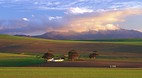 Western Cape