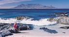 Cape Town