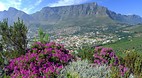 Cape Town