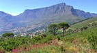 Cape Town