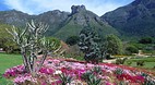 Cape Town