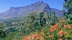 Cape Town
