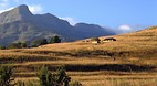 Drakensburg