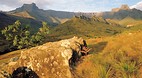 Drakensburg
