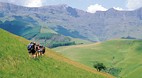 Drakensburg