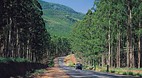Limpopo