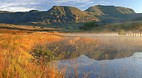 Free State