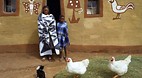 Free State