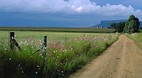 Free State