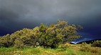 Northern Cape