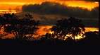 Kruger National Park..