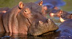 Kruger National Park..