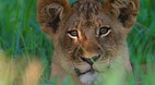 Kruger National Park..