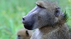 Kruger National Park..