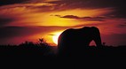 Kruger National Park..