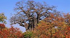 Kruger National Park