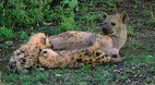 Kruger National Park