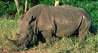 Kruger National Park