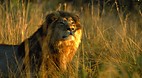 Kruger National Park