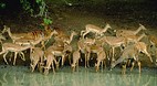 Kruger National Park