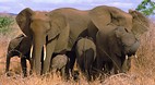 Kruger National Park