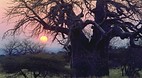 Kruger National Park