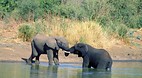Kruger National Park