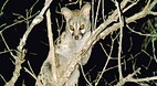 Kruger National Park
