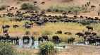 Kruger National Park