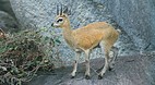 Kruger National Park
