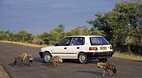 Kruger National Park