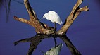 Kruger National Park